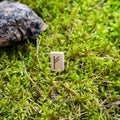 Scandinavian rune Fehu money, on wet moss.