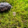 Scandinavian rune Hagal destruction, on wet moss. Royalty Free Stock Photo