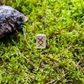Scandinavian rune Inguz abundance, on wet moss