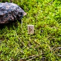 Scandinavian rune Thurisaz tip, on wet moss.