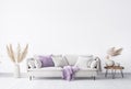 Scandinavian simple interior design mock up. Beige cozy sofa with wooden table. Dried flowers. Empty white wall backgrounds