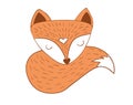 Scandinavian sleepy fox Royalty Free Stock Photo