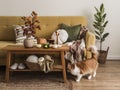 Scandinavian-style autumn living room - yellow sofa with pillows and blankets, wooden oak bench with autumn flowers, pumpkins and