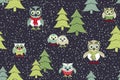 Scandinavian style. Owls in winter seamless pattern