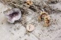 Scandinavian wooden rune Uruz on a homespun linen cloth with amethyst and dried flower Royalty Free Stock Photo