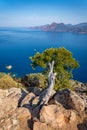 Scandola Natural Reserve, Corsica Island. Seascape, south France Royalty Free Stock Photo