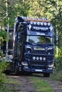 Scania Logging truck loading pine trees in the forest