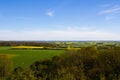 A Scanian Southern Sweden landscape filled with fields of green, gold and yellow taken in Billebjer, Lunds kommun, Sweden Royalty Free Stock Photo