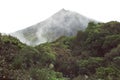 Mount Taranaki Egmont volcanic peak from the beneath the bushline Royalty Free Stock Photo