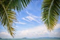 In-scape of coconut palm leaves on cloud-scape background Royalty Free Stock Photo