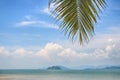 In-scape of coconut palm leaves on cloud-scape background Royalty Free Stock Photo