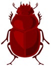 Scarab