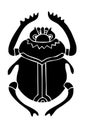 Scarab beatle Royalty Free Stock Photo