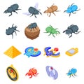 Scarab beetle icons set, isometric style Royalty Free Stock Photo