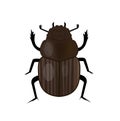 Scarab beetle insect icon, flat style. Symbol of ancient Egypt. Isolated on white background. Vector illustration Royalty Free Stock Photo