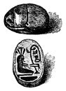 Scarab is a carved piece of stone used as an amulet, vintage engraving