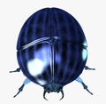 Scarab