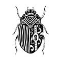 Scarab egypt Tattoo art. Print design for t-shirt, logo or poster.