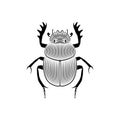 Scarab engraved on white background. Royalty Free Stock Photo