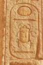 Scarab hieroglyph carving on a wall in the Temple of Queen Hatshepsut in Luxor, Egypt