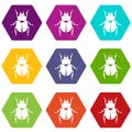 Scarab icon set color hexahedron