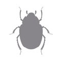 Scarab Silhouette Royalty Free Stock Photo
