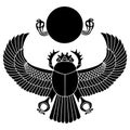Scarab vector Royalty Free Stock Photo