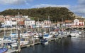 Scarborough Harbour with castle in background.