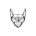Scare face caracal cat logo design vector graphic symbol icon sign illustration creative idea Royalty Free Stock Photo
