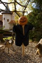 Scare and terrifying Halloween scarecrow with pumpkin for head built in park