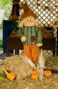 Scarecrow Royalty Free Stock Photo