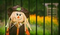 Closeup of a Scarecrow in the autumn garden Royalty Free Stock Photo