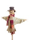 Scarecrow Royalty Free Stock Photo