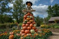 Scarecrow Atop a Pumpkin Pyramid in a Fall Garden Royalty Free Stock Photo