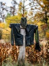 A Scarecrow in an autumn garden close up Royalty Free Stock Photo