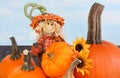 Scarecrow Boy and Pumpkins Royalty Free Stock Photo