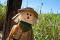 Scarecrow by a corn maze