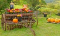 scarecrow couple on old retro farm plow with pumpkins and Chrysanthemums