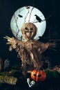 Scarecrow, dead wood, graves, Jack-o-lantern and bones