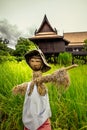 A scarecrow wearing Thai clothes in a rice paddy with Thai house in the background.