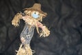Scarecrow doll wearing a mask Royalty Free Stock Photo