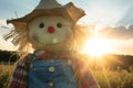 scarecrow dressed in overalls, backlight by sunset in field Royalty Free Stock Photo