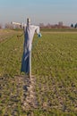 Scarecrow in a Dutch field