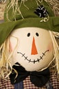 Scarecrow Face Royalty Free Stock Photo