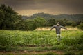 Scarecrow at a farm shot from a distance