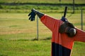 scarecrow in field