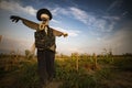 Scarecrow at sunset background Royalty Free Stock Photo