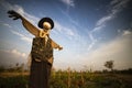 Scarecrow at sunset background Royalty Free Stock Photo
