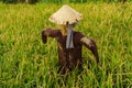 Scarecrow in a field Royalty Free Stock Photo