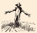 Scarecrow on the field sketch hand drawn Vector Halloween illustration Royalty Free Stock Photo